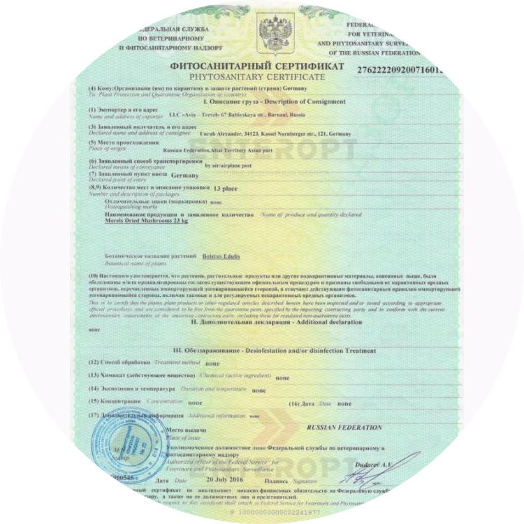 Фитосанитарный сертификат&nbsp;